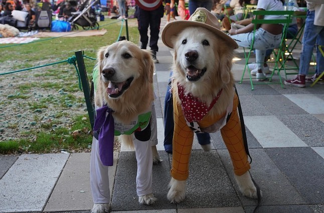 Trick-or-Treating in the Park - Klyde Warren Park