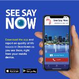 DDI See Say Now app